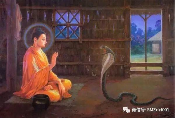 最上乘学佛一百问 24、[ 什么是佛？]插图3