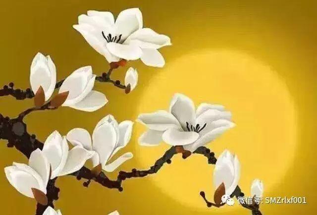 最上乘学佛一百问 69、[ 供佛的盆栽花如何施肥、喷药、浇水？]插图1