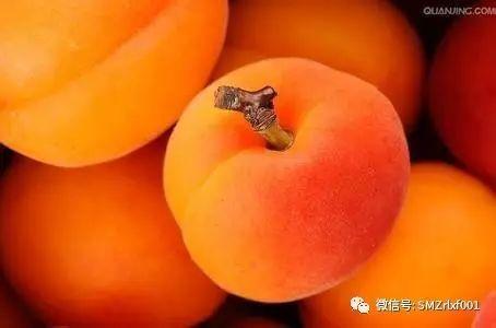 最上乘学佛一百问 80、[ 佛堂上供的水果、食品什么时候才能撤下来？]插图1