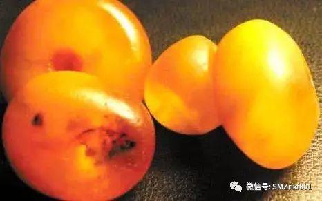 最上乘学佛一百问 91、[ 玩具供佛都是指何物？]插图10