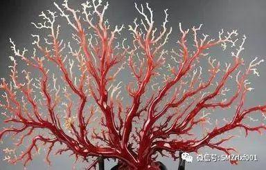 最上乘学佛一百问 89、[ 金银、纸钞、珠宝、首饰、玉器等如何供佛？]插图1