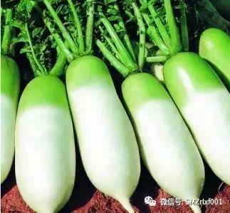 最上乘学佛一百问 90、[ 米、面、油、盐和蔬菜是否也可以拿来供佛？]插图4