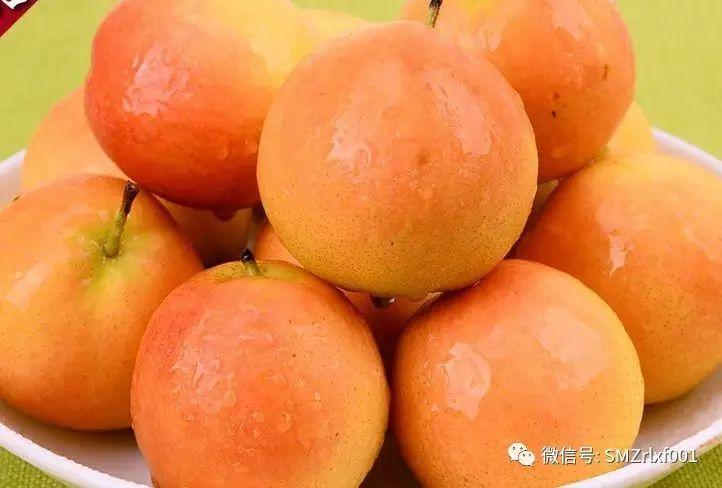 最上乘学佛一百问 73、[ 有人说梨子不能供佛，是真的吗？]插图2