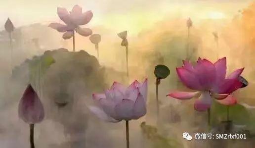 最上乘学佛一百问 30、[ 供佛为什么要烧香？烧几只香合适？]插图