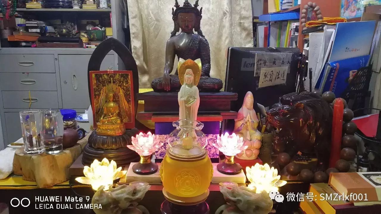 最上乘学佛一百问 63、[ 佛堂用什么花供佛最好？]插图2