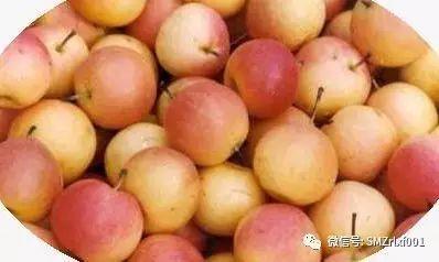 最上乘学佛一百问 73、[ 有人说梨子不能供佛，是真的吗？]插图3