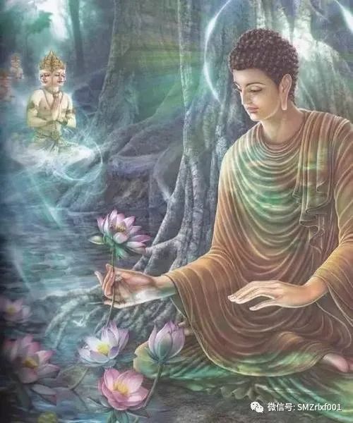 何谓觉悟?插图8 何谓觉悟?插图8