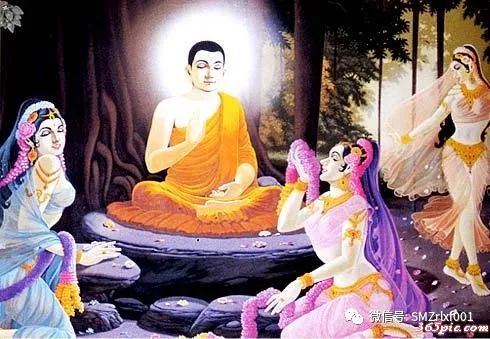 佛陀打开生命现象的一瞬间……[ 甚深佛法（31）]插图8