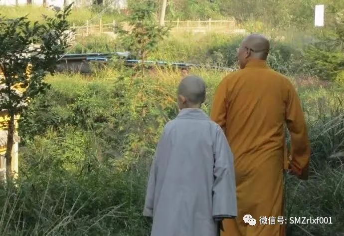 解读我的《 经行歌 [ 之一 ] 》插图9