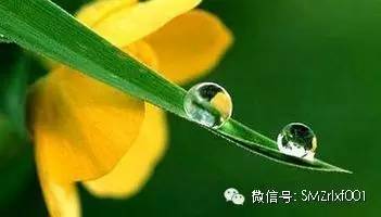 何谓净土？[ 甚深佛法（10）]插图2