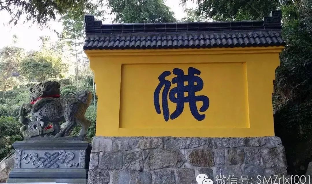 没有 ‘ 择法分 ’ 的后果 [ 甚深佛法（21）]插图12