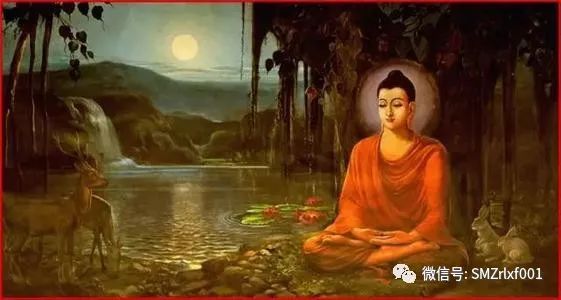 佛陀打开生命现象的一瞬间……[ 甚深佛法（31）]插图3