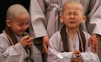 ‘ 知行合一 ’ 不是佛法 ！插图14