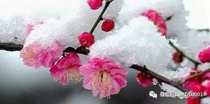 解读《楞严一笑》[之一]插图3