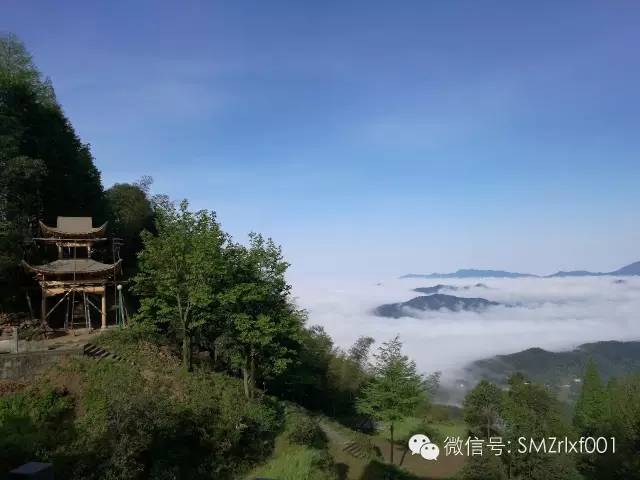 只有清净才是不二法门！ [ 甚深佛法 （8）]插图