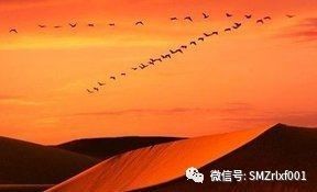 解读《楞严一笑》[ 之二 ]插图12