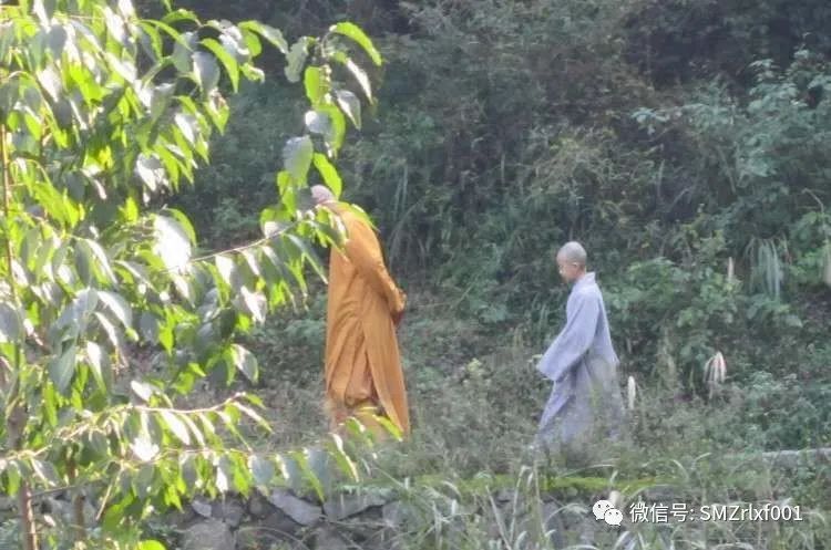 解读我的《 经行歌 [ 之一 ] 》插图5