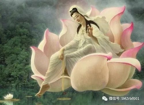 如何才能实现 ‘ 择法分 ’ ？[ 甚深佛法（22）]插图6