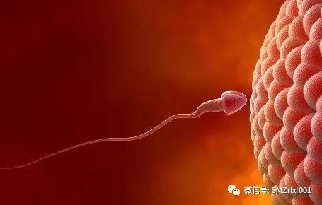 十二因缘法解析 [ 第一部分：入胎藏世界之前 ]插图6