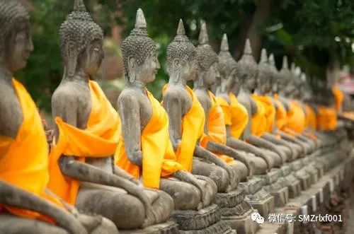 解答博士后弟子的问题 [ 之二 ]：如何理解哲学与智慧的关系？插图3
