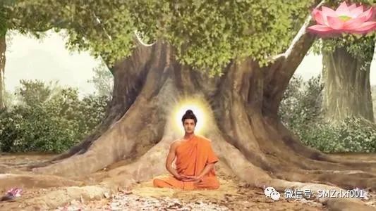 佛陀打开生命现象的一瞬间……[ 甚深佛法（31）]插图