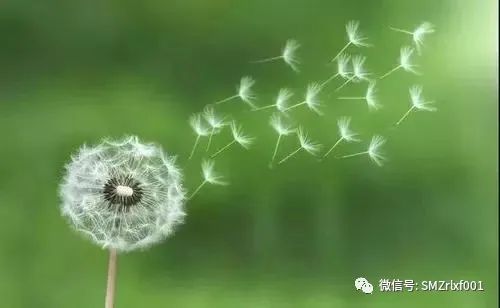 略谈人生（ 之二 ）生命的内涵是什么 ？  [ 甚深佛法（41）]插图9