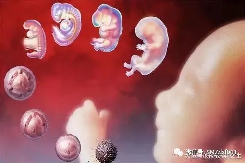 略谈人生（ 之二 ）生命的内涵是什么 ？  [ 甚深佛法（41）]插图5