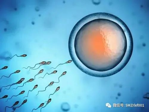 略谈人生（ 之四 ）根本性离是怎么回事 ？ [ 甚深佛法（43）]插图