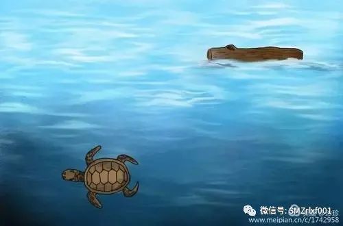 略谈人生（ 之六 ）真心在哪里 ？[ 甚深佛法（45）]插图12