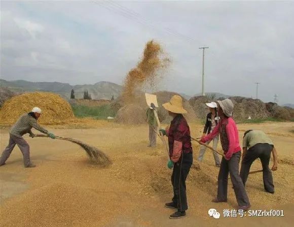 略谈人生（ 之五 ） 生命的真正价值是什么 ？  [ 甚深佛法 （44）]插图2