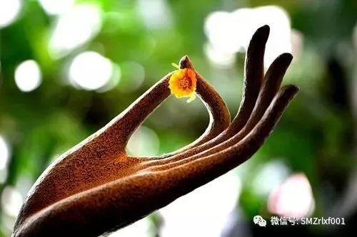 略谈人生（ 之六 ）真心在哪里 ？[ 甚深佛法（45）]插图