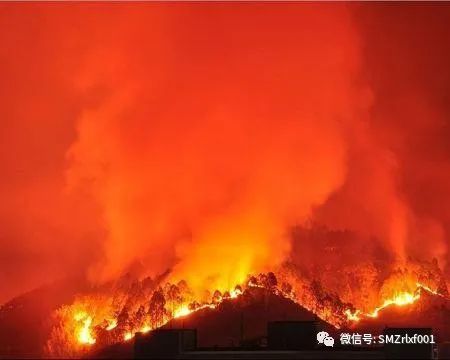 略谈人生（ 之十一 ）世间无僧宝，大地皆沉沦 ！[ 甚深佛法（50）]插图4