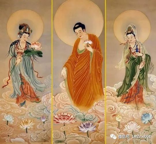 由 ‘ 菖蒲草 ’ 而想到的……插图4