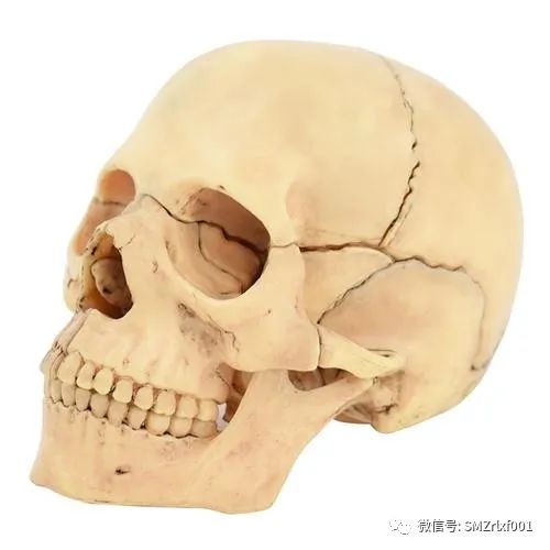 佛法真谛（ 之一 ） 三界在哪里 ？[ 甚深佛法 (66) ]插图3