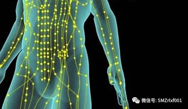 极乐世界的七重栏楯、七重罗网……难道是防野猪和小偷吗？[ 甚深佛法（61）]插图7