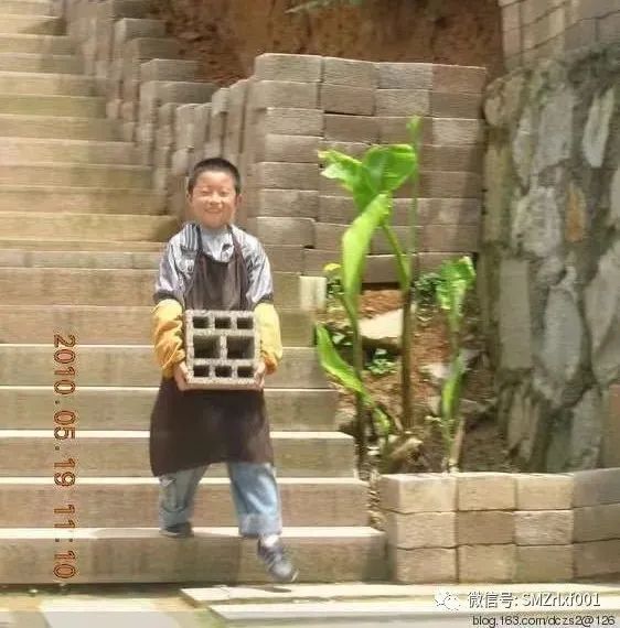 由 ‘ 菖蒲草 ’ 而想到的……插图13
