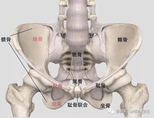 佛法真谛（ 之一 ） 三界在哪里 ？[ 甚深佛法 (66) ]插图7