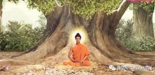 略谈人生（ 之十二 ）外道邪师，掠你没商量 ！  [ 甚深佛法（51）]插图11