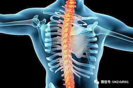 佛法真谛（ 之一 ） 三界在哪里 ？[ 甚深佛法 (66) ]插图2