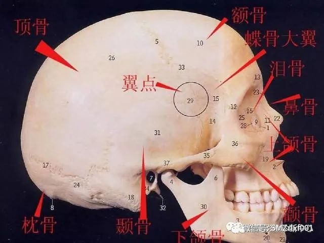 佛法真谛（ 之一 ） 三界在哪里 ？[ 甚深佛法 (66) ]插图9