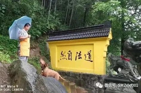 “ 预知时至 ” 不算本事，没必要大惊小怪！[ 国学文化（3) ]插图10