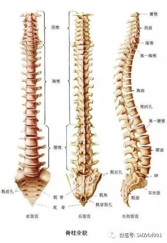 佛法真谛（ 之一 ） 三界在哪里 ？[ 甚深佛法 (66) ]插图5
