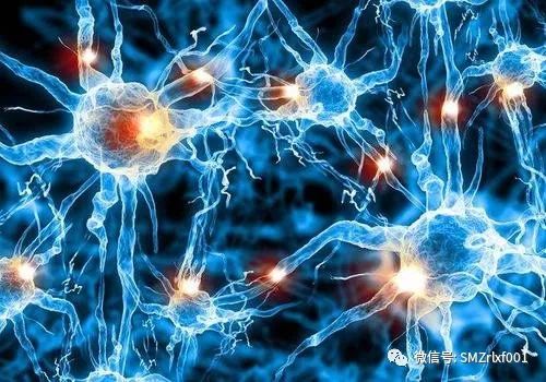 极乐世界的七重栏楯、七重罗网……难道是防野猪和小偷吗？[ 甚深佛法（61）]插图2