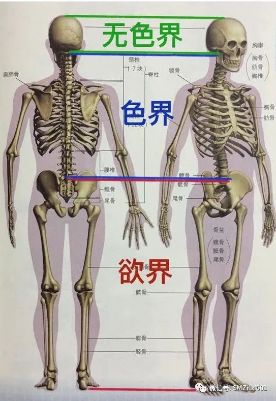 佛法真谛（ 之一 ） 三界在哪里 ？[ 甚深佛法 (66) ]插图6