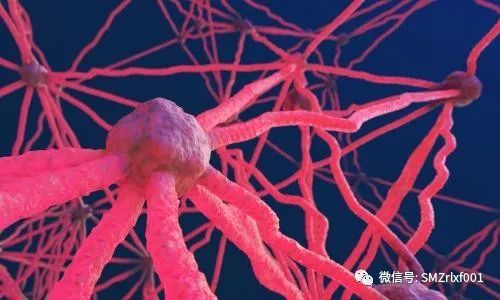 极乐世界的七重栏楯、七重罗网……难道是防野猪和小偷吗？[ 甚深佛法（61）]插图1