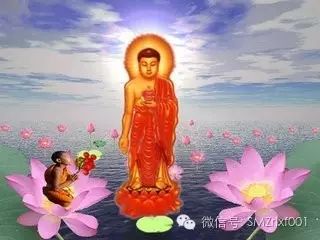 请问：极乐世界，没有人身，如何成佛？[甚深佛法（56）]插图2