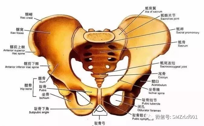 佛法真谛（ 之一 ） 三界在哪里 ？[ 甚深佛法 (66) ]插图1