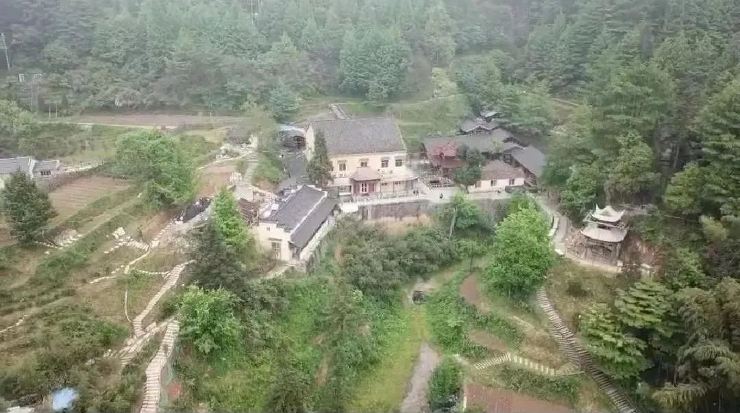 由 ‘ 菖蒲草 ’ 而想到的……插图5