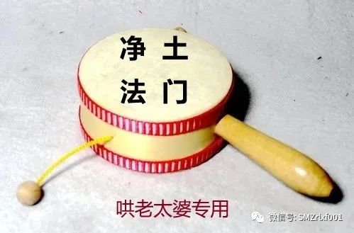 由 ‘ 菖蒲草 ’ 而想到的……插图3