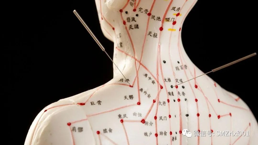 佛法真谛（之八）试论 ‘ 道法自然 ’  [ 甚深佛法（73）]插图2
